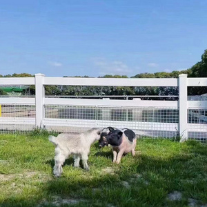 White 100% Vinyl Horse Paddock Fence PVC Horse Fence No Cracking No Warping 3-Rail PVC Guardrail Fences