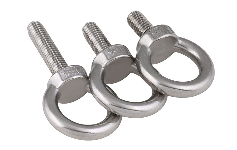 Customized Extended Eye Bolt DIN580 304/316 Stainless Steel Sheep Eye Screw M6-M48 Lifting Eye Bolt with Fixed Plastic Usage