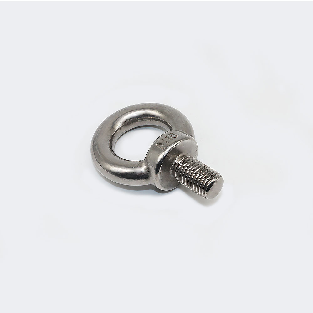 Customized Extended Eye Bolt DIN580 304/316 Stainless Steel Sheep Eye Screw M6-M48 Lifting Eye Bolt with Fixed Plastic Usage