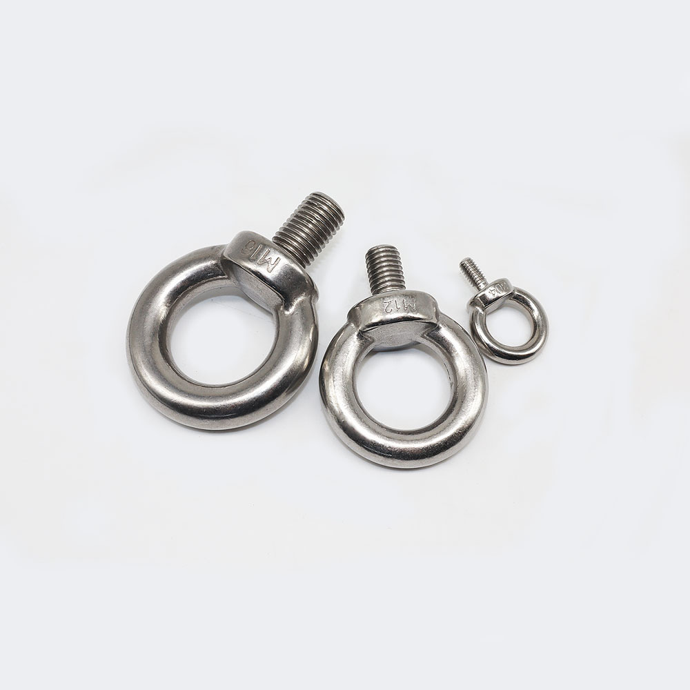 Customized Extended Eye Bolt DIN580 304/316 Stainless Steel Sheep Eye Screw M6-M48 Lifting Eye Bolt with Fixed Plastic Usage