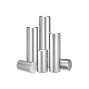 Special shape Stainless Steel Cylindrical pin carbon steel straight pin round pin ISO 2339 Stainless steel SS304 SS316