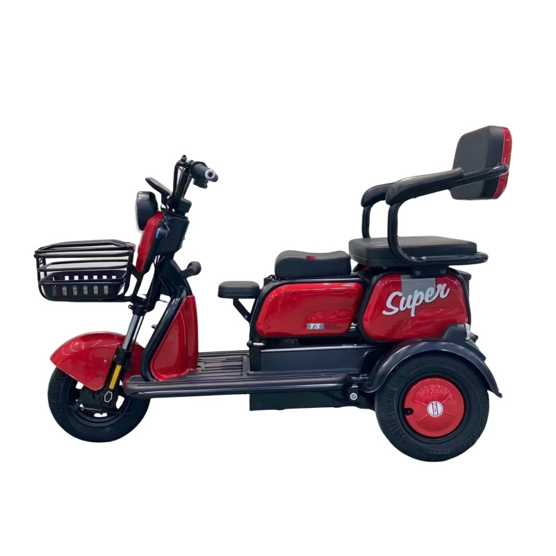 Cheap adult electric bike loaded man 3 wheel tuk 750 watt-800W load 300-500kg