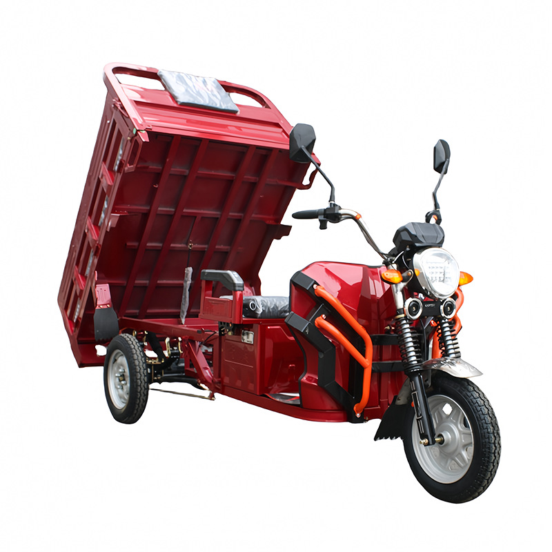 600w/800w/1000w Tricycle Adult Electric Cargo Bike Trikes Electric Motorcycle Three Wheel Motorcycle Cargo Tricycle