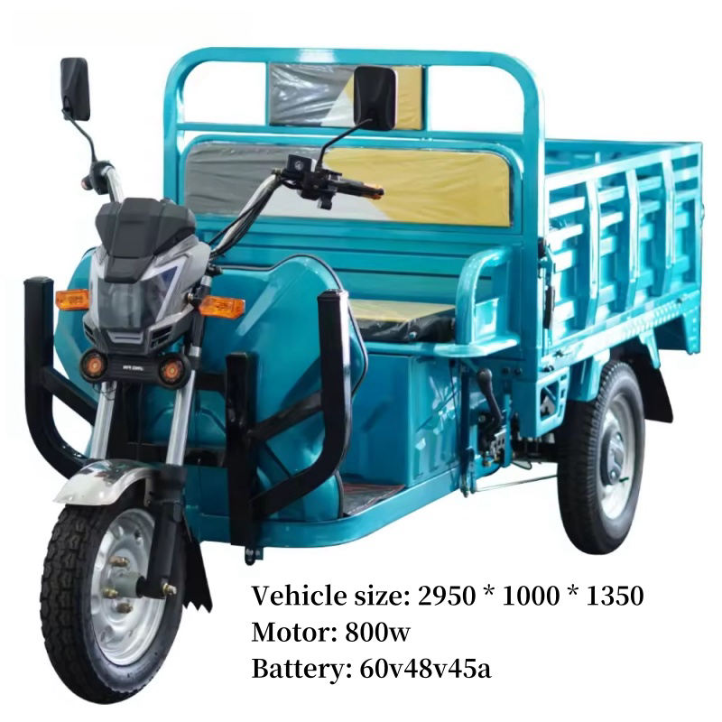 600w/800w/1000w Tricycle Adult Electric Cargo Bike Trikes Electric Motorcycle Three Wheel Motorcycle Cargo Tricycle