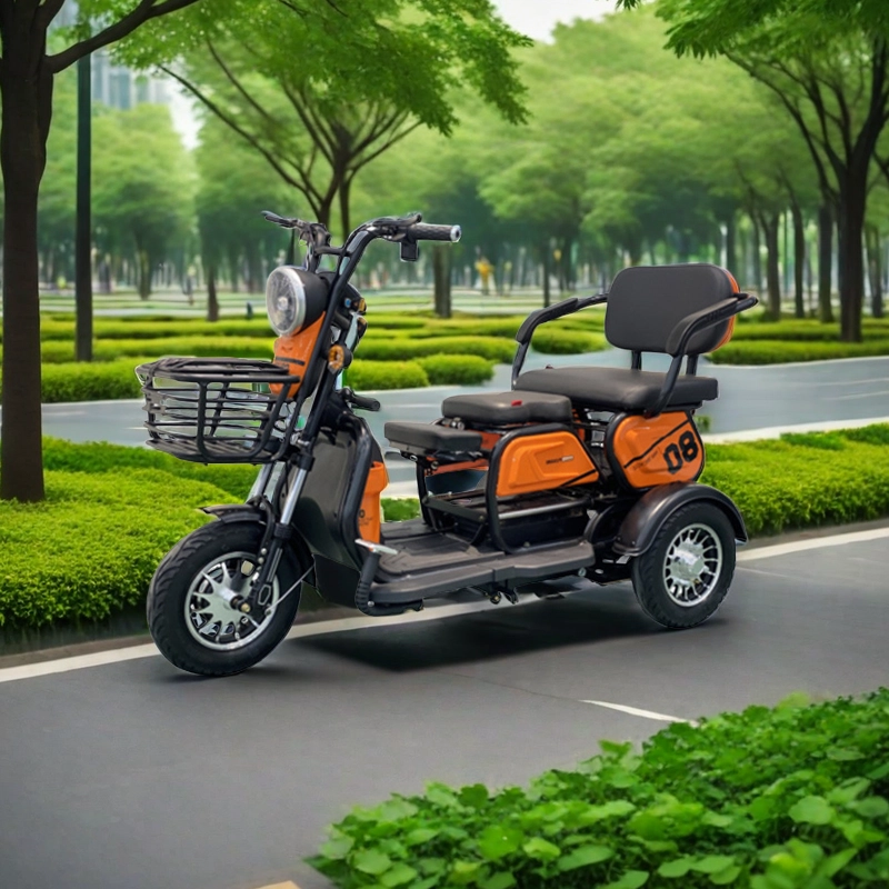 Cheap adult electric bike loaded man 3 wheel tuk 750 watt-800W load 300-500kg