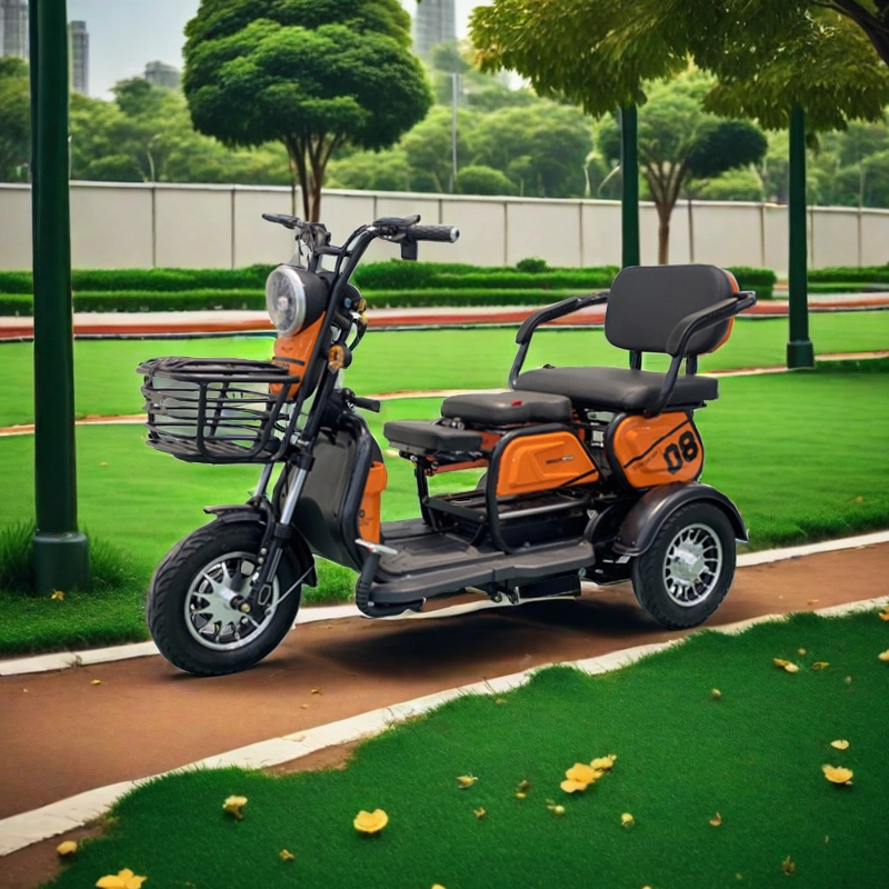 Cheap adult electric bike loaded man 3 wheel tuk 750 watt-800W load 300-500kg