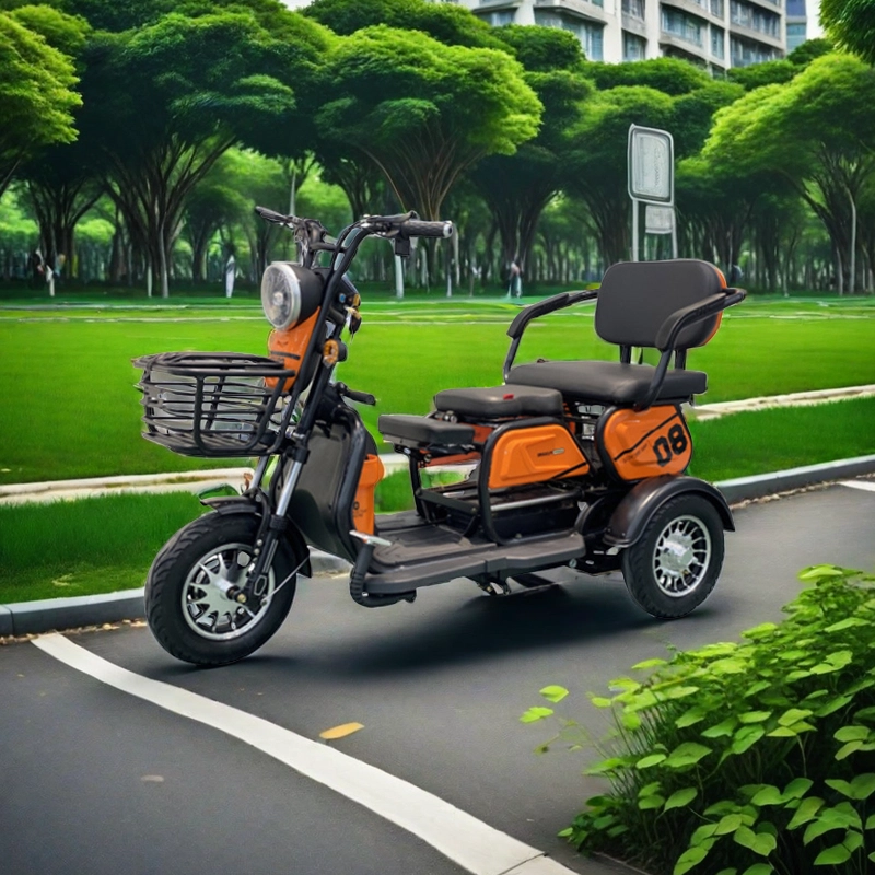 Cheap adult electric bike loaded man 3 wheel tuk 750 watt-800W load 300-500kg