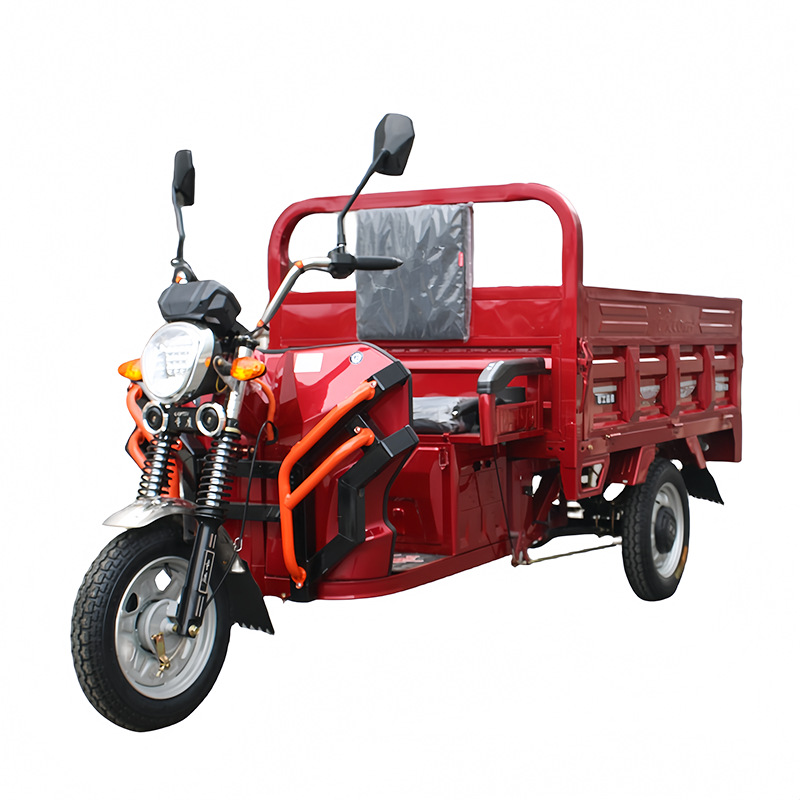 600w/800w/1000w Tricycle Adult Electric Cargo Bike Trikes Electric Motorcycle Three Wheel Motorcycle Cargo Tricycle