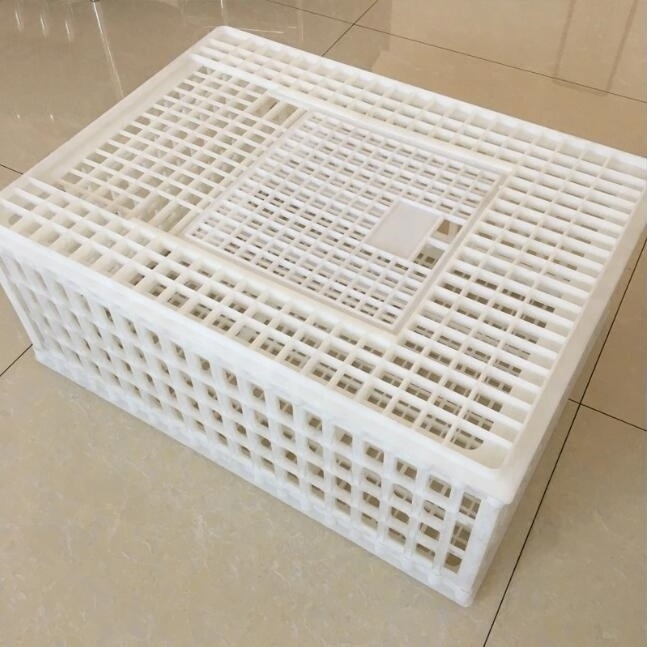 Manufacturer Plastic Pigeon Crate Chicken Transport Cage Box Pigeon Trap Cage