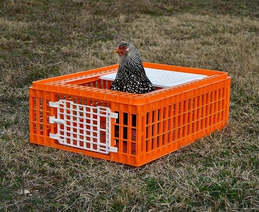 75*55*27CM Poultry Coop Pigeon Chicken Transport Cage/Poultry Turnover Box