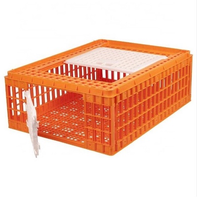 Manufacturer Plastic Pigeon Crate Chicken Transport Cage Box Pigeon Trap Cage