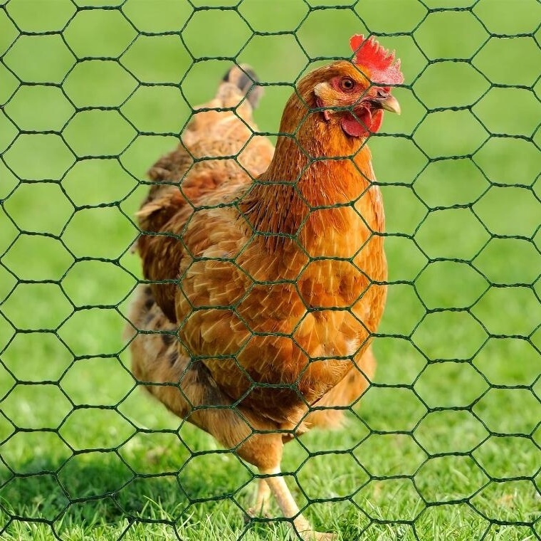 1.5mm 1-1/4'' Mesh Cheap Farm Chicken Net Fence/Rabbit Hexagonal Poultry Netting