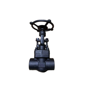 2-inch American standard forged steel gate valve welded gate valve