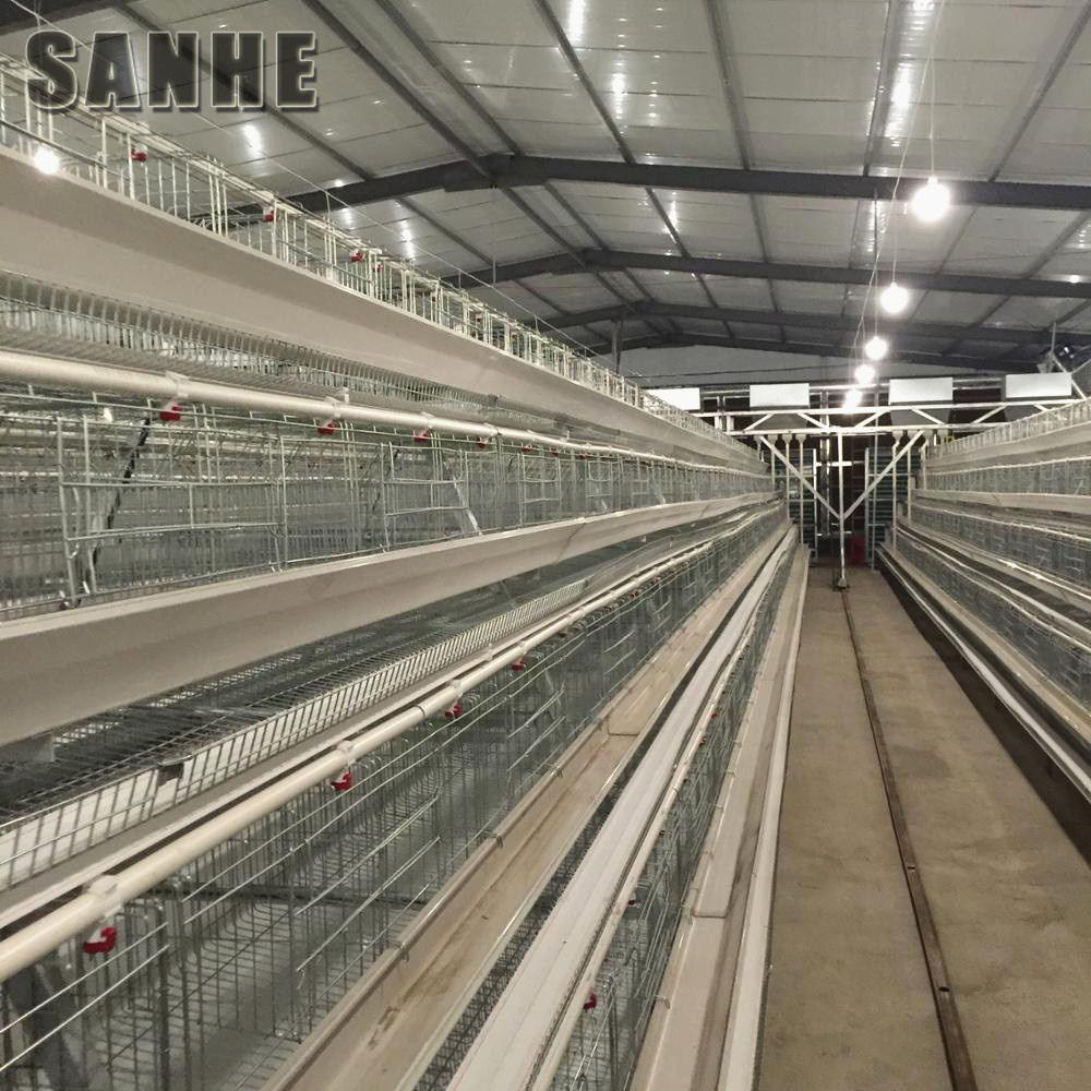 30000 Birds Chicken House A Large Scale Poultry Farm Building