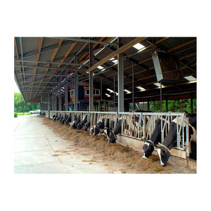 Prefabricated steel structure cow cattle farm steel frame low cost cattle shed for sale