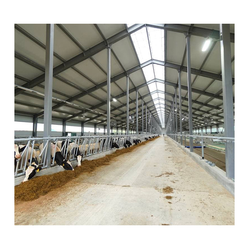 Commercial prefab steel structure farm cow shed building cattle shed for sale