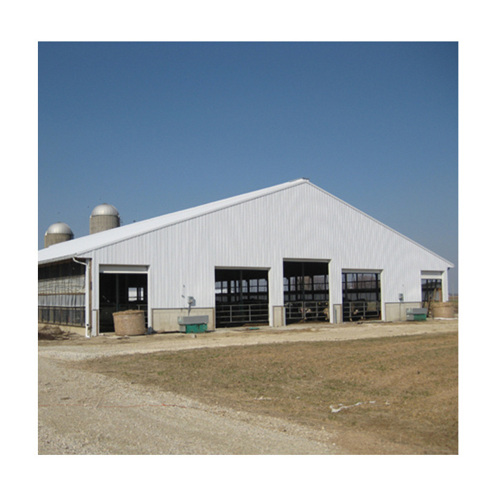 Prefabricated steel structure cow cattle farm steel frame low cost cattle shed for sale