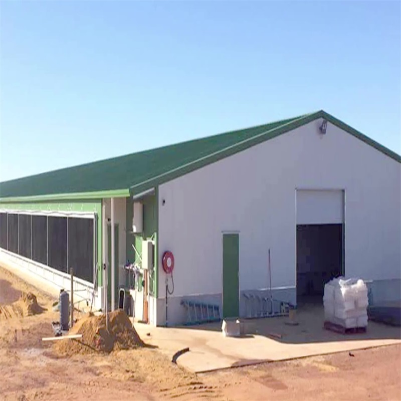 modern cow shed structures livestock shed and dairy cow barn