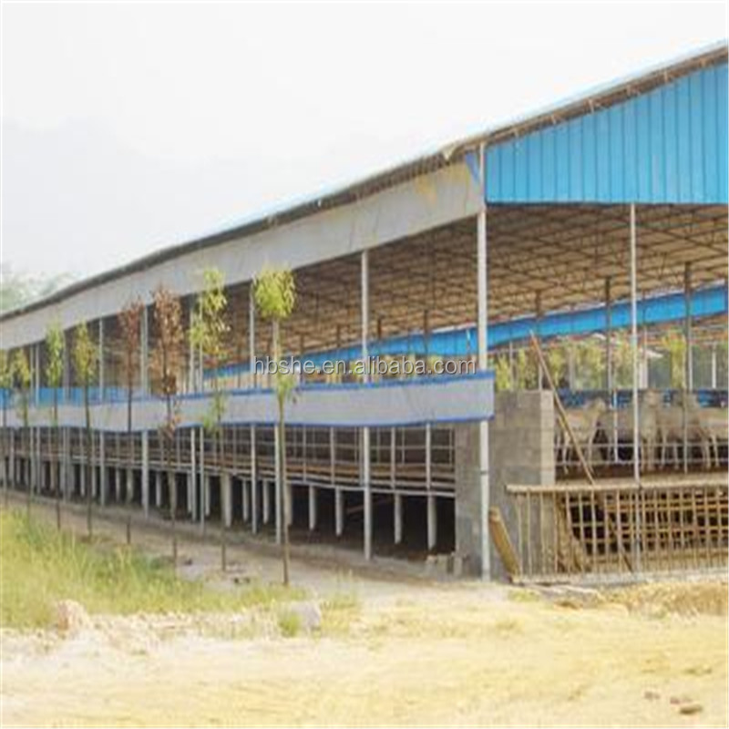 Fast construction prefab light steel structure cattle sheep shed for sale