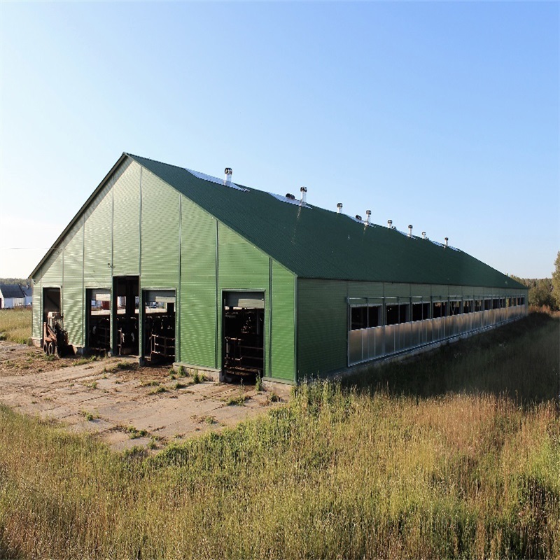 modern cow shed structures livestock shed and dairy cow barn