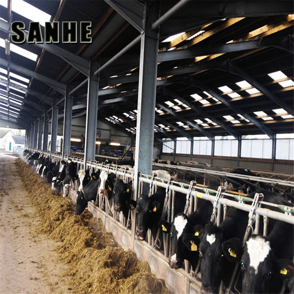 Large Span Steel Shed Prefabricated Cow Barns For Sale