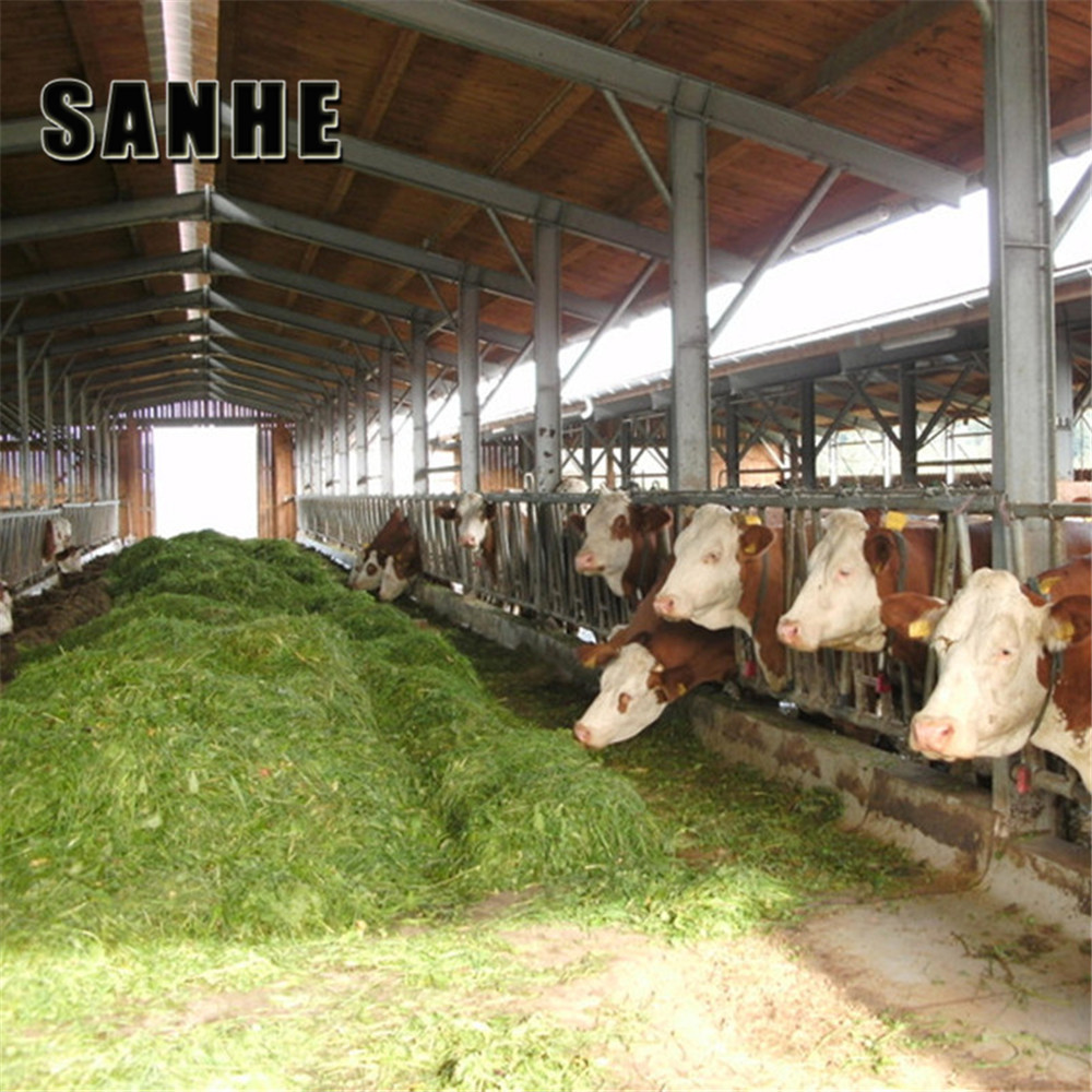 Large Span Steel Shed Prefabricated Cow Barns For Sale