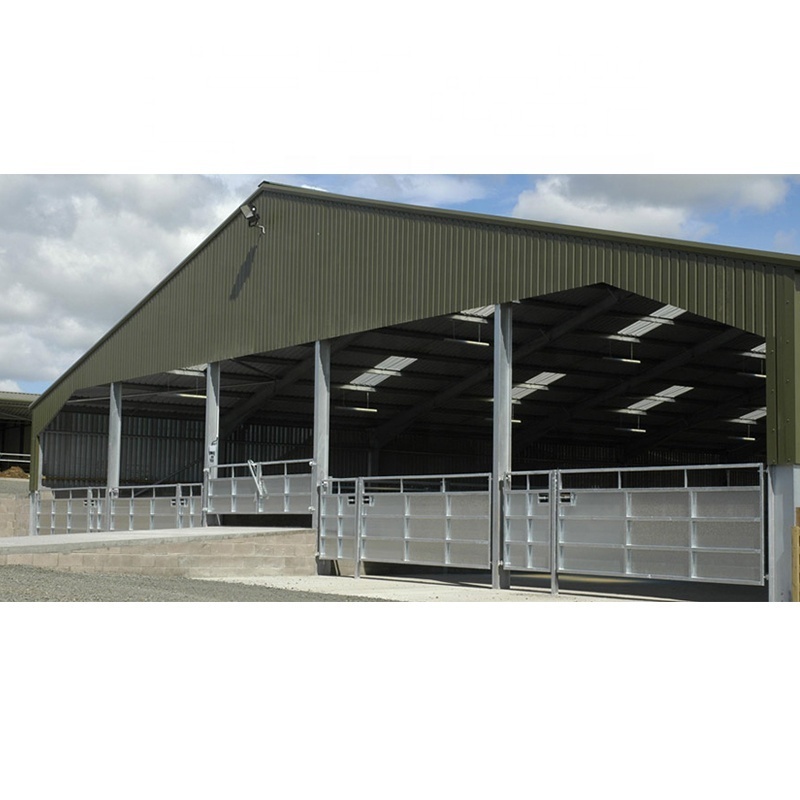 Large Span Steel Shed Prefabricated Cow Barns For Sale