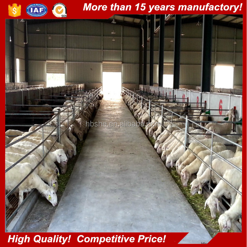 Fast construction prefab light steel structure cattle sheep shed for sale