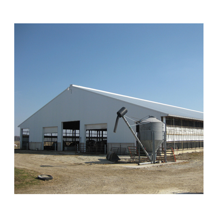 Commercial prefab steel structure farm cow shed building cattle shed for sale