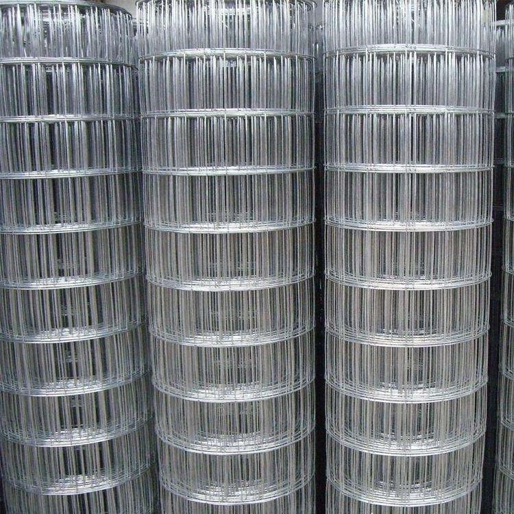 Factory high-quality 1/4 inch 1/2inch wire mesh stainless steel welded  wire mesh/wire mesh welded netting