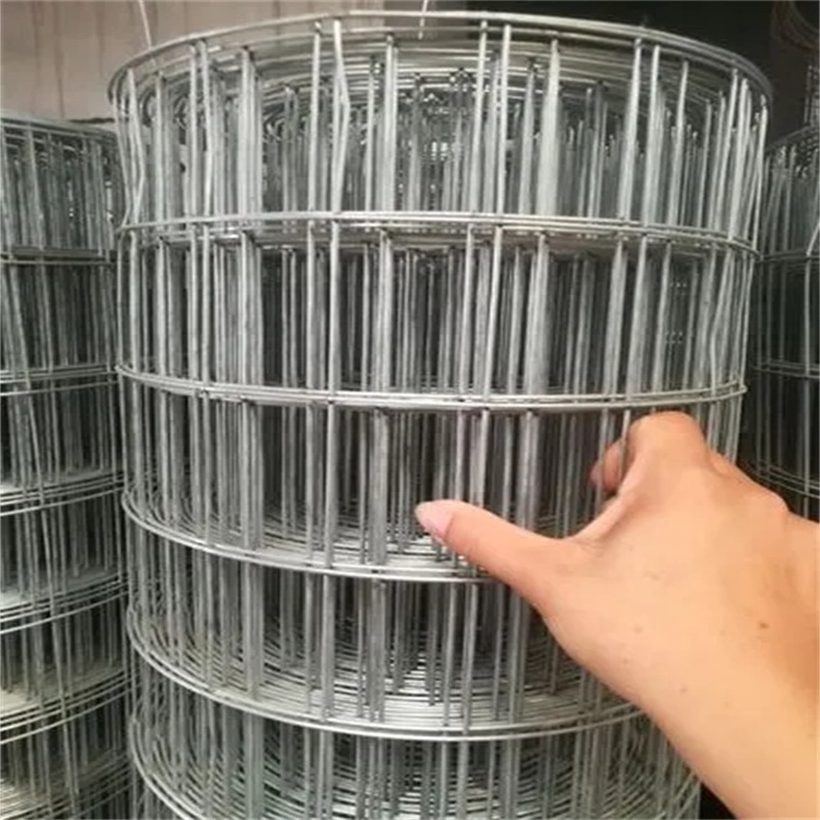 Bestseller Galvanized Welded Wire Mesh Welded Wire Mesh Panel Steel Wire Mesh