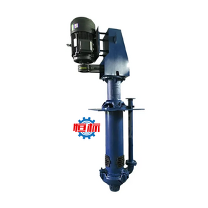 High Quality Electric Vertical Submerged Slurry Pump Vertical Mud Pump Large Flow Sand Pumping Dredging