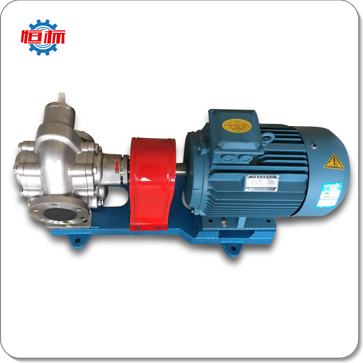 Electric motor driven gear pumps diesel petrol fuel oil transfer pump