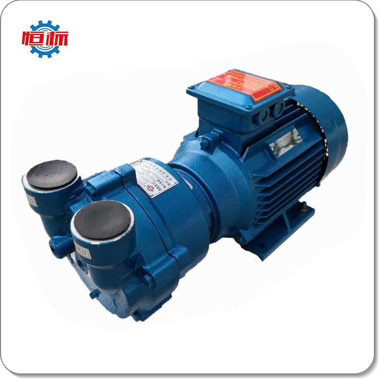 Vacuum pump 2BV series high pressure 15 KW water liquid ring vacuum pump price electric