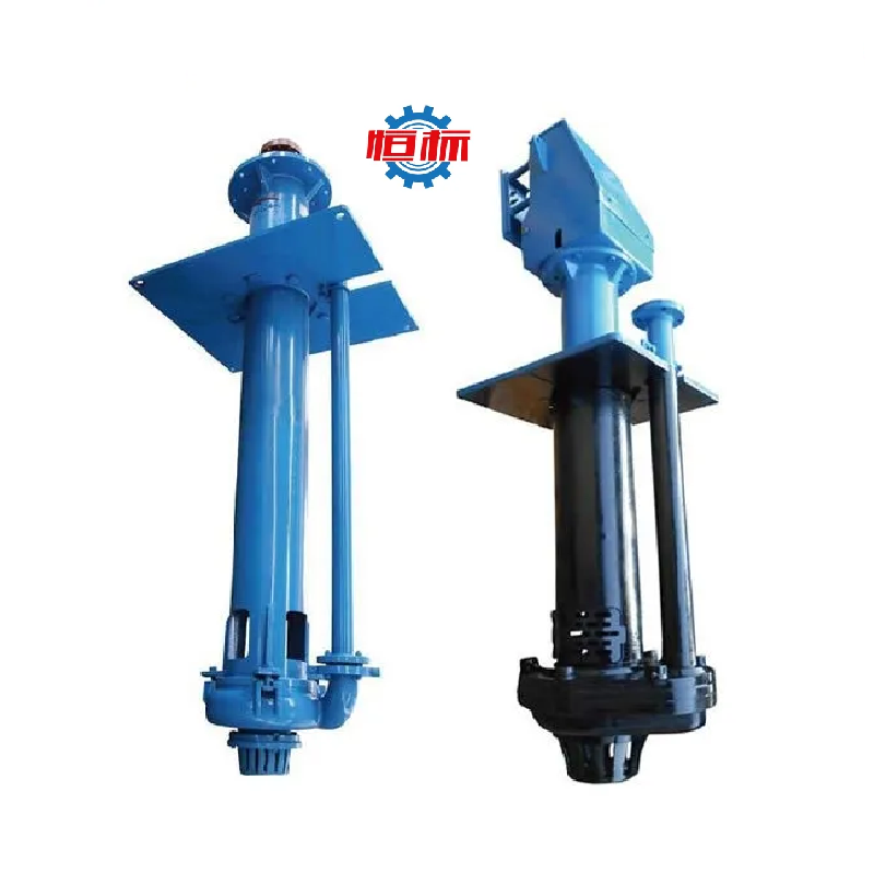 High Quality Electric Vertical Submerged Slurry Pump Vertical Mud Pump Large Flow Sand Pumping Dredging