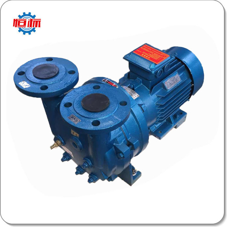 Vacuum pump 2BV series high pressure 15 KW water liquid ring vacuum pump price electric