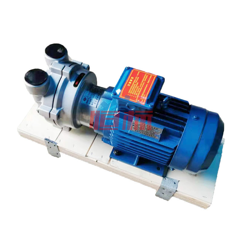 2BV Series Monoblock Single Stage Liquid Ring Vacuum Pump Cast Iron Stainless Steel Circulation Vacuum Pump