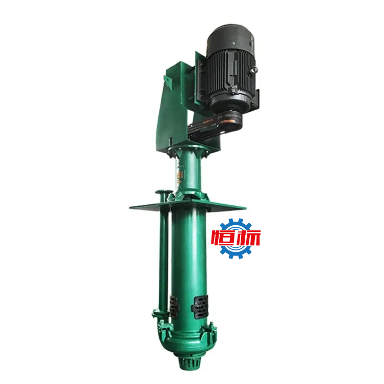 High Quality Electric Vertical Submerged Slurry Pump Vertical Mud Pump Large Flow Sand Pumping Dredging