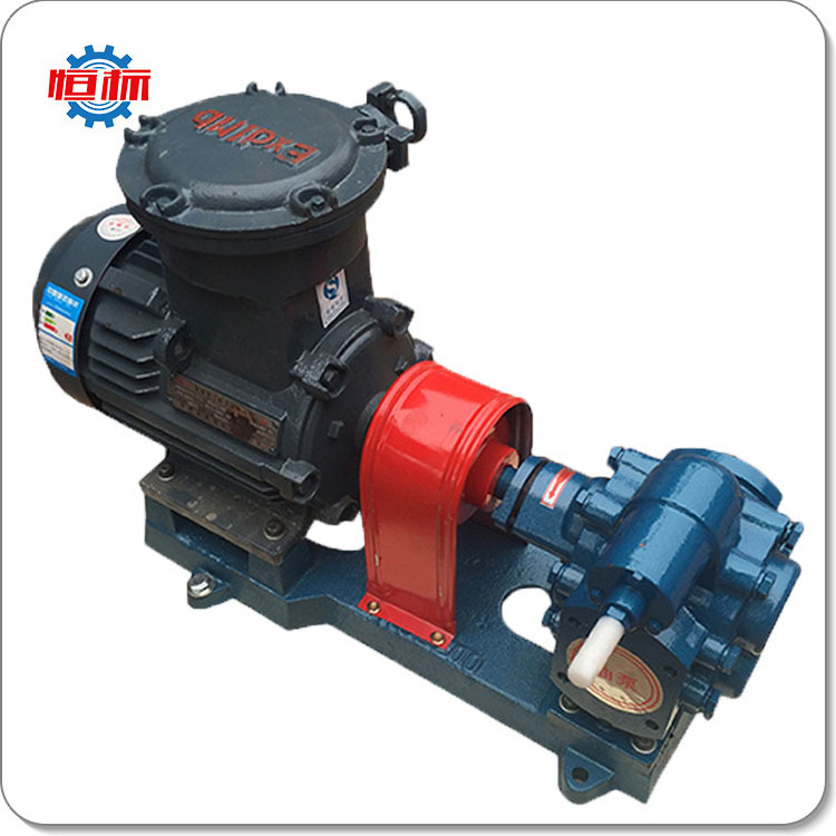 Electric motor driven gear pumps diesel petrol fuel oil transfer pump