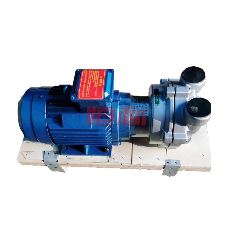 2BV Series Monoblock Single Stage Liquid Ring Vacuum Pump Cast Iron Stainless Steel Circulation Vacuum Pump