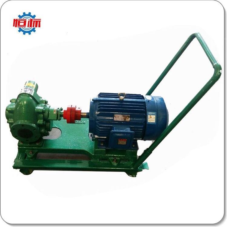 Electric motor driven gear pumps diesel petrol fuel oil transfer pump