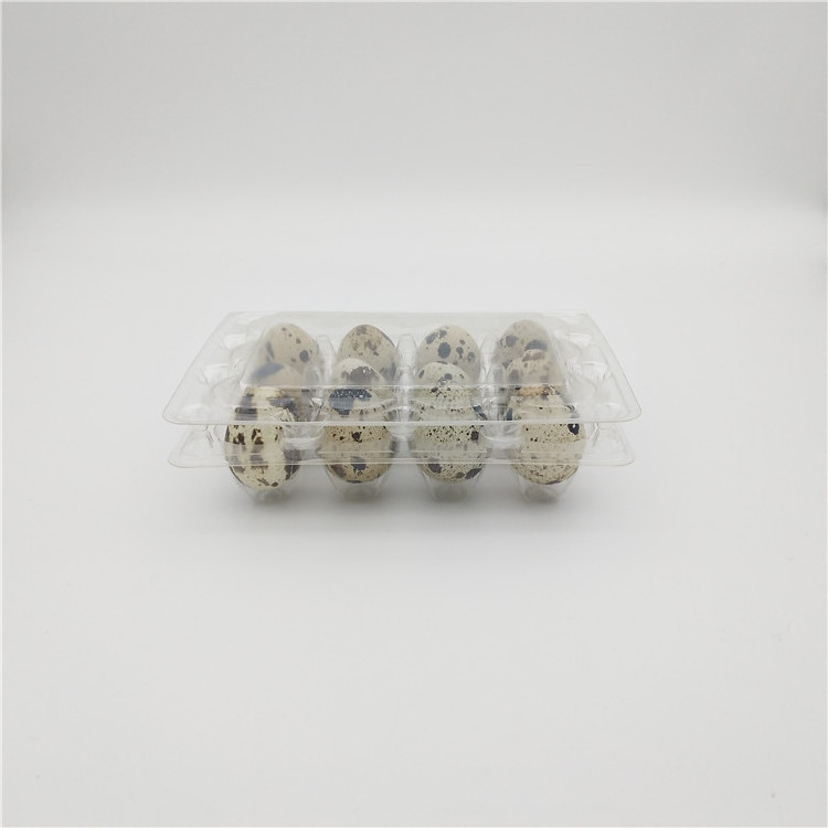 Transparent Plastic Quail Egg Cartons Packaging