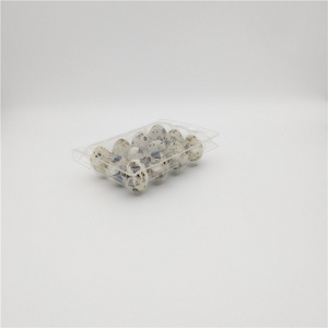 Transparent Plastic Quail Egg Cartons Packaging