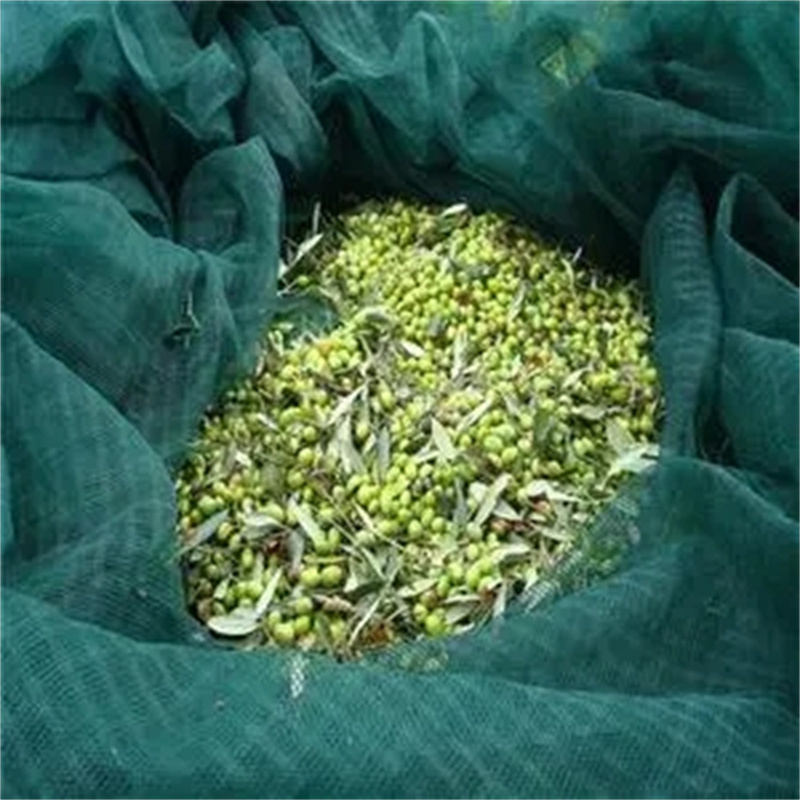 100% NEW HDPE UV Treated Collection Fruit Support Olive Packing Netting