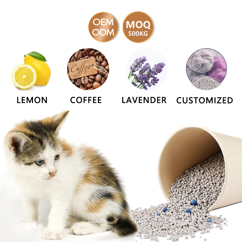 Best Bentonite Clay Cat Litter Sand Deodorizer Strong Clumping Dust Free Best Cat Litter For Odor Control 20kg 5kg 15kg 5l