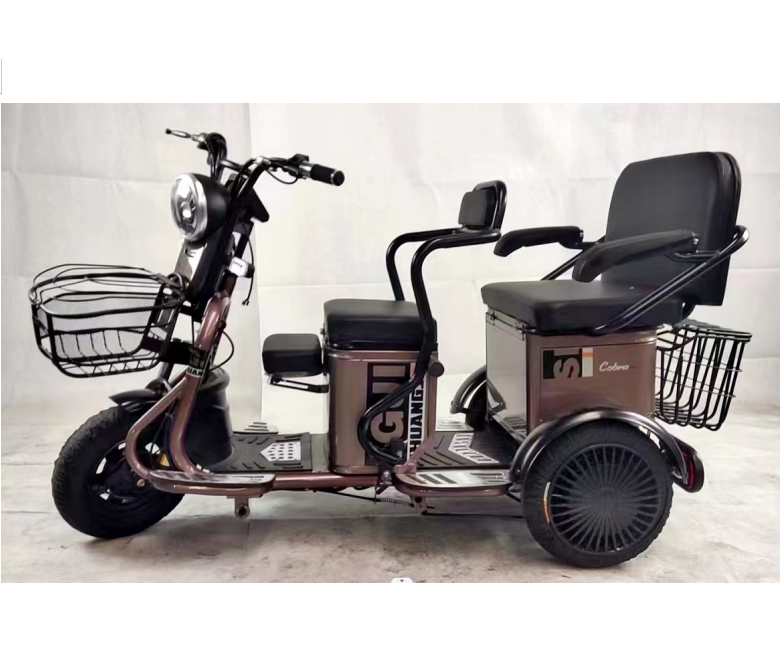 800W/1000W adult motorized tricycles  household small scooter  electric cargo bike trikes OEM ODM Tricycle With Custom Logo