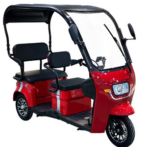 Factory Direct 48V Electric Tricycle Passenger Scooter with EEC Certification Good Price for Adults