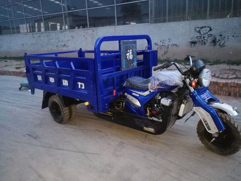 Five Wheels cargo motorcycle tricycle 250cc 300cc with Zongshen Lifan Loncin Engine three wheel motorcycle