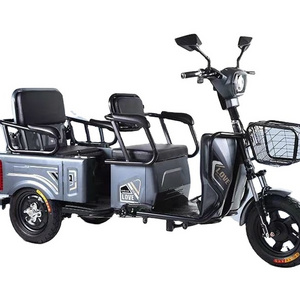 wholesale Cargo electric tricycle 600W electric pedicab 3 wheels tricycle for elder E trike adults models