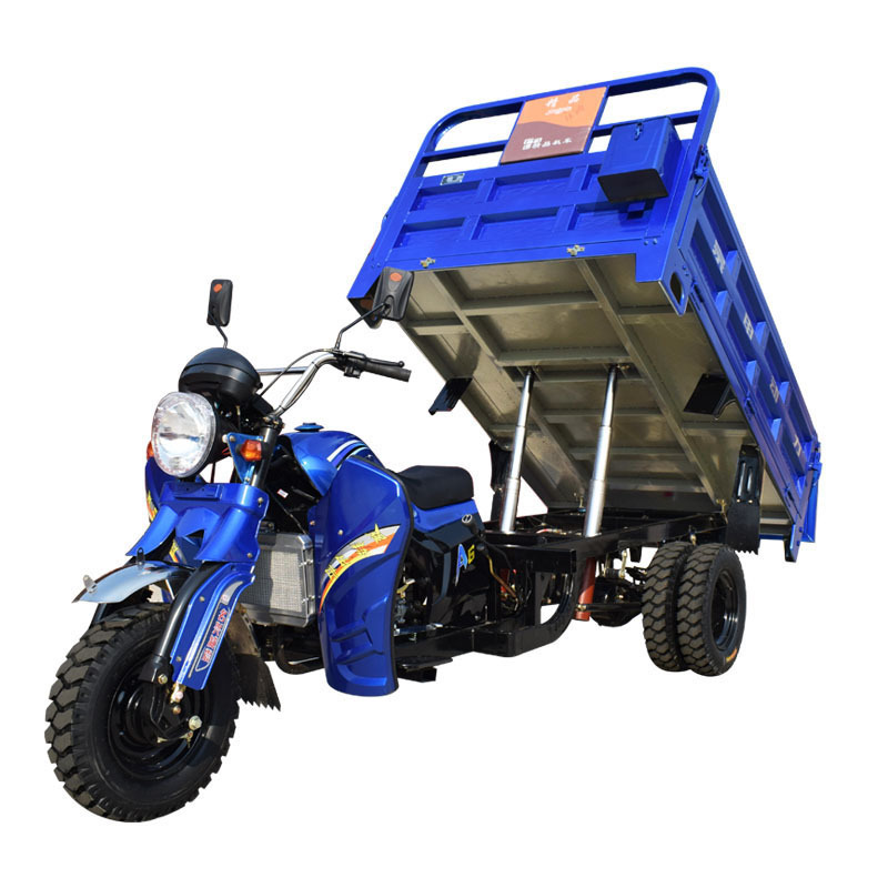 Tricycle Motor With Gasoline Tricycle 300cc/350cc Engine Electric Tricycle 9/nine Wheeler Cargo Bike for Sale